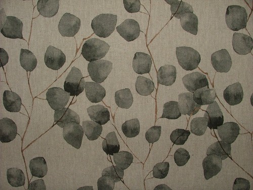 Eukalyptus blätter grau - eukalyptus,